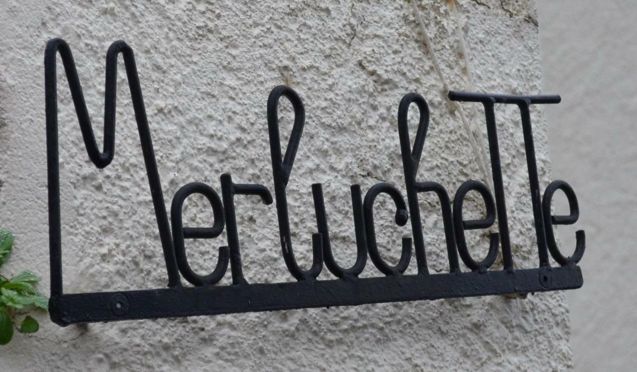 Gite De La Merluchette Nazelles-Negron المظهر الخارجي الصورة